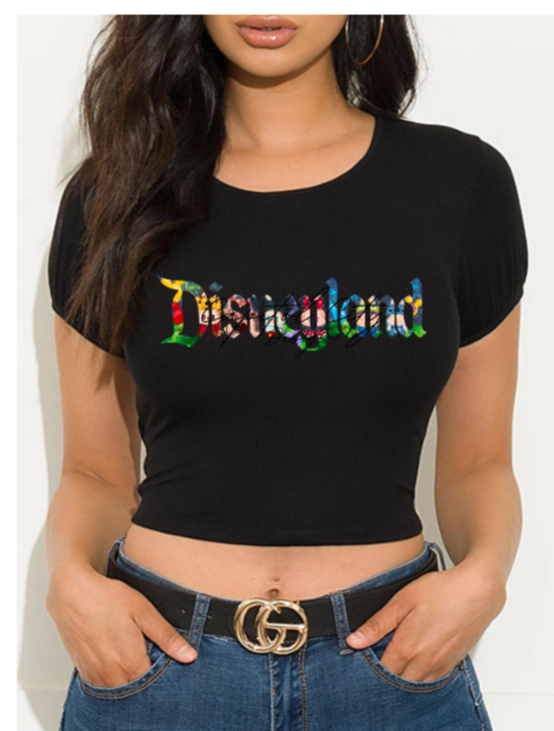 Disneyland Crop Top