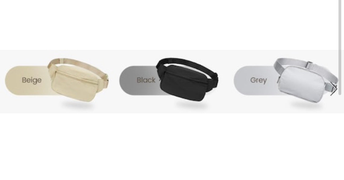 The Park Bag Fanny Pack